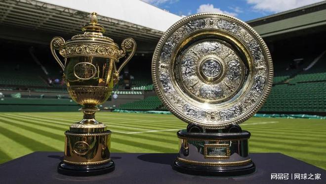 运动员经历 运动员经历